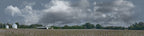 Cotton Fields Tennessee with Buildings left