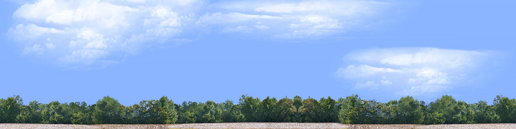 Cotton Fields with Treeline center repeatable