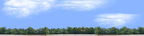 Cotton Fields with Treeline center repeatable