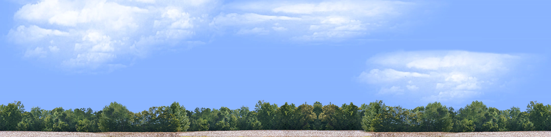 Cotton Fields with Treeline center repeatable