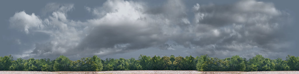 Cotton Fields with Treeline center repeatable