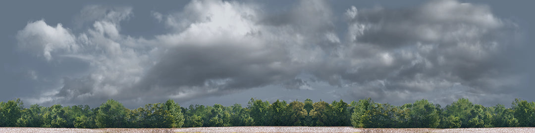 Cotton Fields with Treeline center repeatable