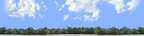 Cotton Fields with Treeline center repeatable
