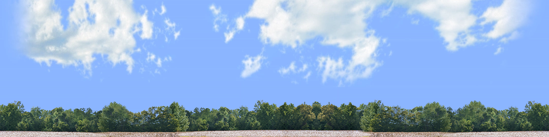 Cotton Fields with Treeline center repeatable
