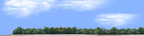 Cotton Fields with Treeline left
