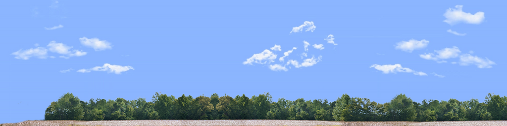 Cotton Fields with Treeline left