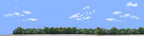 Cotton Fields with Treeline left