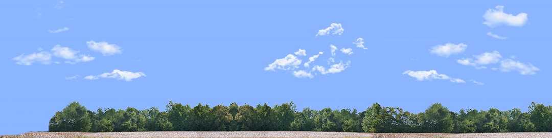 Cotton Fields with Treeline left