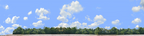 Cotton Fields with Treeline left