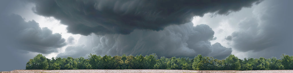 Cotton Fields with Treeline left