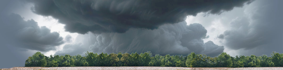 Cotton Fields with Treeline left