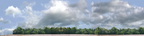 Cotton Fields with Treeline left