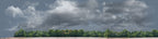 Cotton Fields with Treeline left
