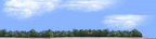 Cotton Fields with Treeline right