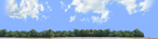 Cotton Fields with Treeline right