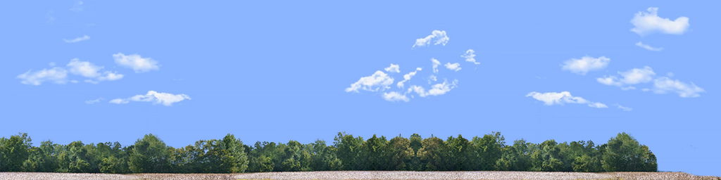 Cotton Fields with Treeline right