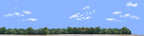 Cotton Fields with Treeline right