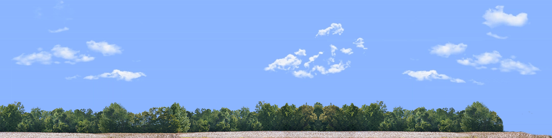 Cotton Fields with Treeline right