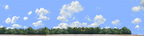 Cotton Fields with Treeline right