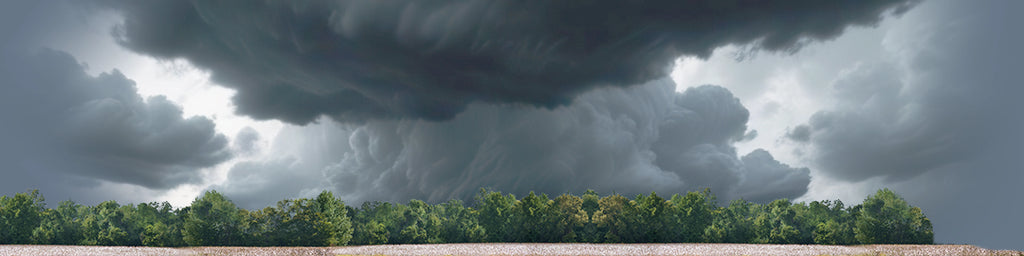 Cotton Fields with Treeline right