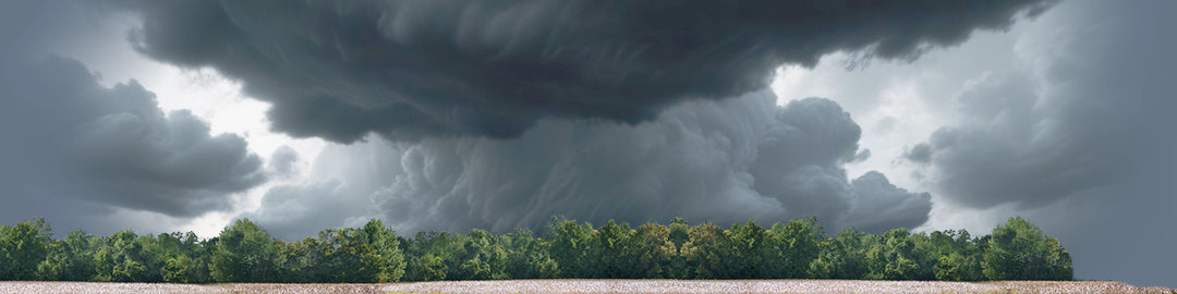 Cotton Fields with Treeline right
