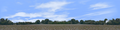 Cotton Fields Tennessee with Buildings center repeatable