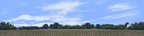 Cotton Fields Tennessee with Buildings center repeatable