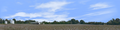 Cotton Fields Tennessee with Buildings left