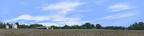 Cotton Fields Tennessee with Buildings left