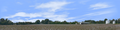 Cotton Fields Tennessee with Buildings right