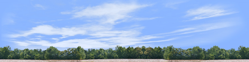 Cotton Fields with Treeline center repeatable