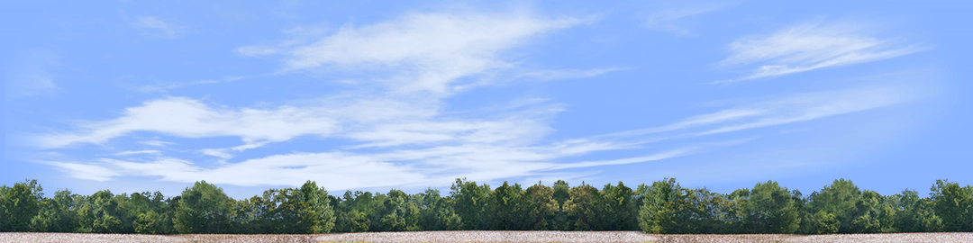 Cotton Fields with Treeline center repeatable