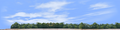 Cotton Fields with Treeline left