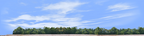 Cotton Fields with Treeline left