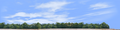 Cotton Fields with Treeline right
