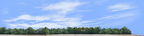 Cotton Fields with Treeline right