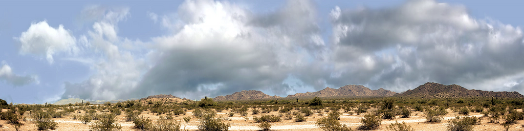 Desert Brush with Mountains Arizona
