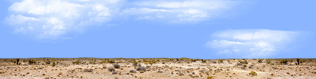 Desert Floor Nevada Repeatable