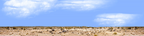 Desert Floor Nevada Repeatable