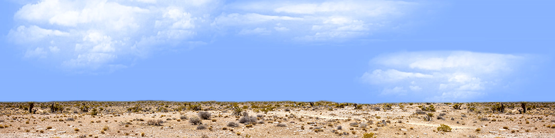 Desert Floor Nevada Repeatable