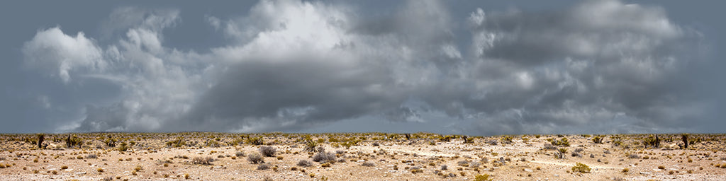 Desert Floor Nevada Repeatable