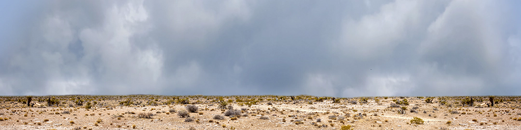 Desert Floor Nevada Repeatable