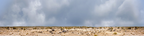 Desert Floor Nevada Repeatable
