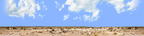 Desert Floor Nevada Repeatable