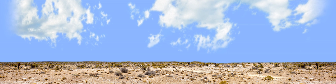 Desert Floor Nevada Repeatable