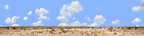 Desert Floor Nevada Repeatable