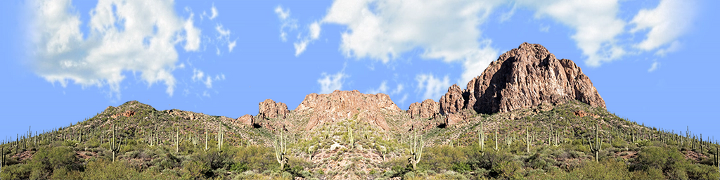 Desert Saguaros Around Mountain Butte right repeatable