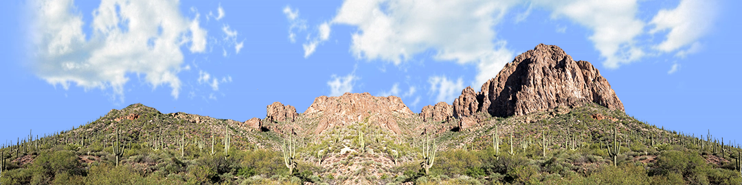 Desert Saguaros Around Mountain Butte right repeatable