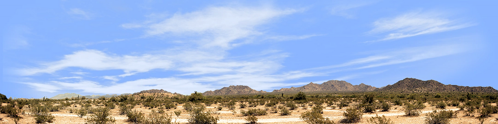 Desert Brush with Mountains Arizona