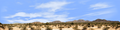 Desert Brush with Mountains Arizona